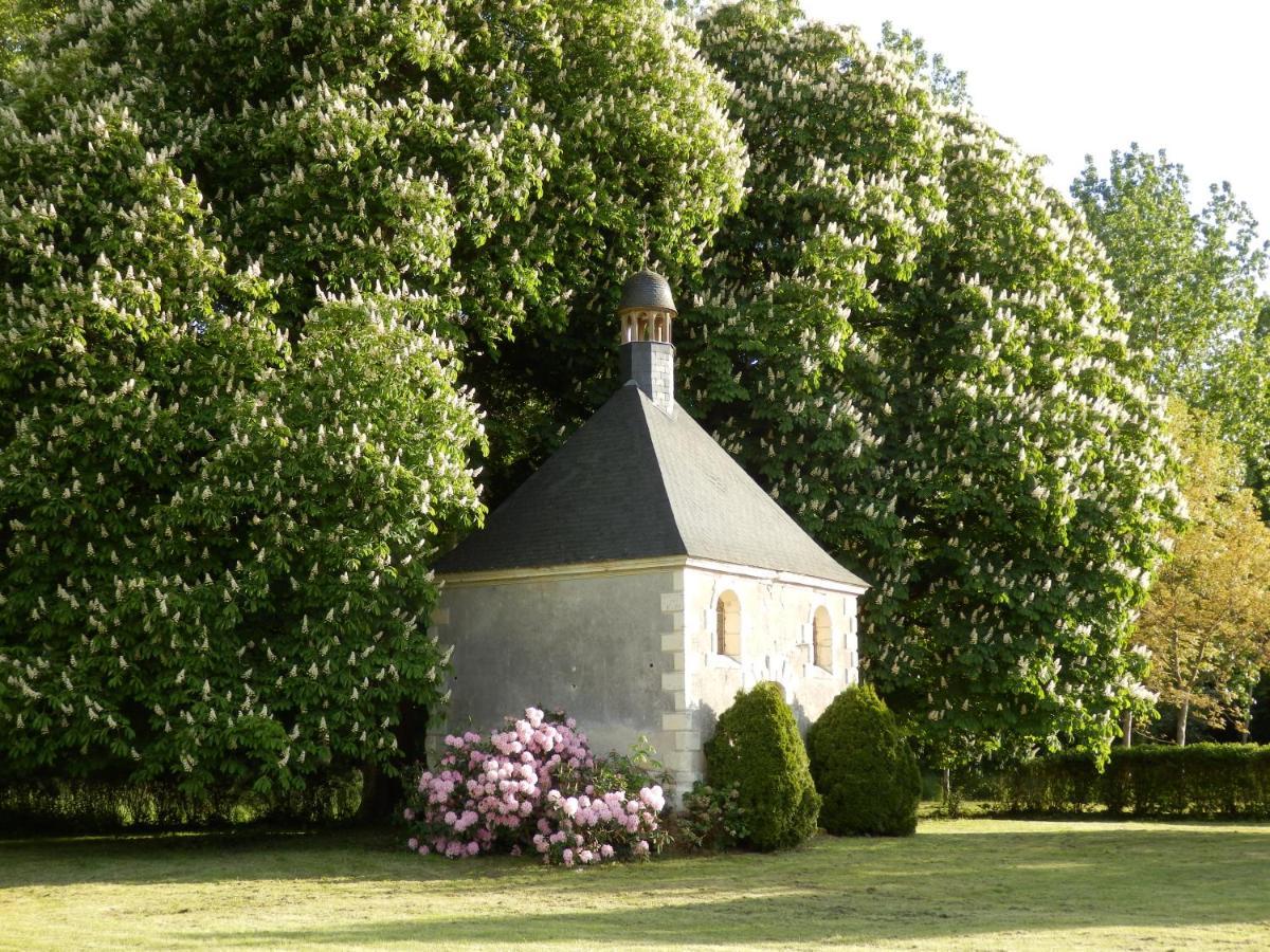 Chateau La Mothaye - Self Catering Apartments With Pool In The Loire Valley Les Bois-d'Anjou Exterior foto