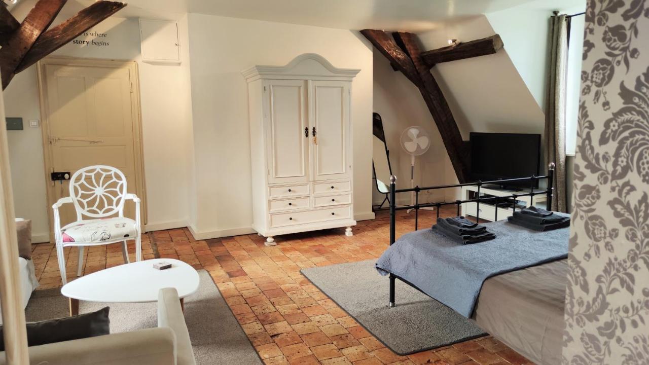 Chateau La Mothaye - Self Catering Apartments With Pool In The Loire Valley Les Bois-d'Anjou Exterior foto