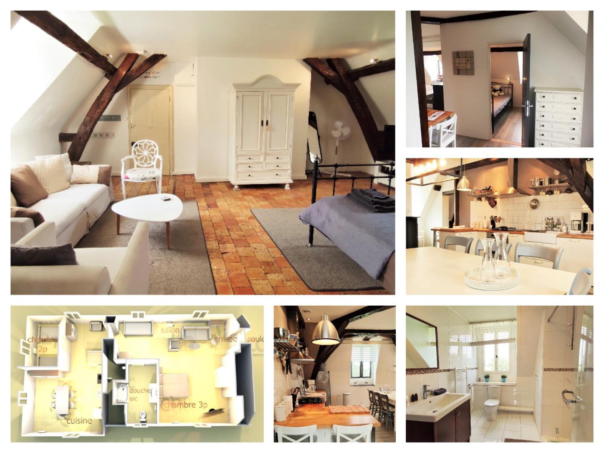 Chateau La Mothaye - Self Catering Apartments With Pool In The Loire Valley Les Bois-d'Anjou Exterior foto