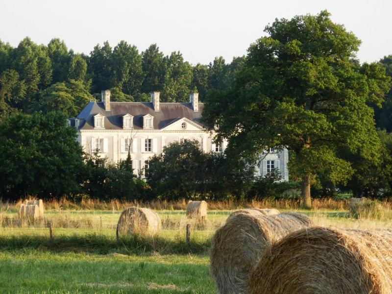 Chateau La Mothaye - Self Catering Apartments With Pool In The Loire Valley Les Bois-d'Anjou Habitación foto